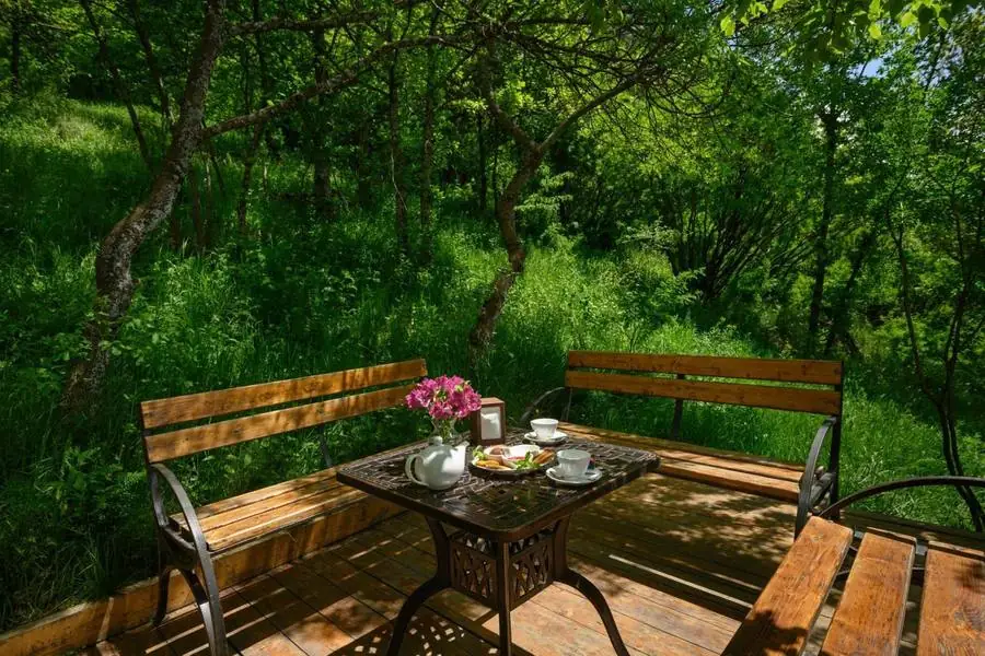 Завтрак на террасе в лесу